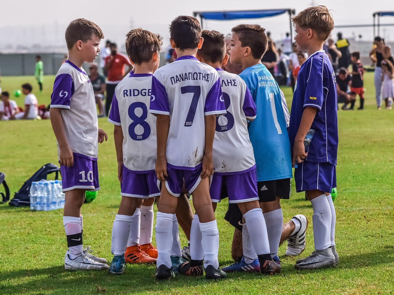 DDOS平台|买花app详情下载教程