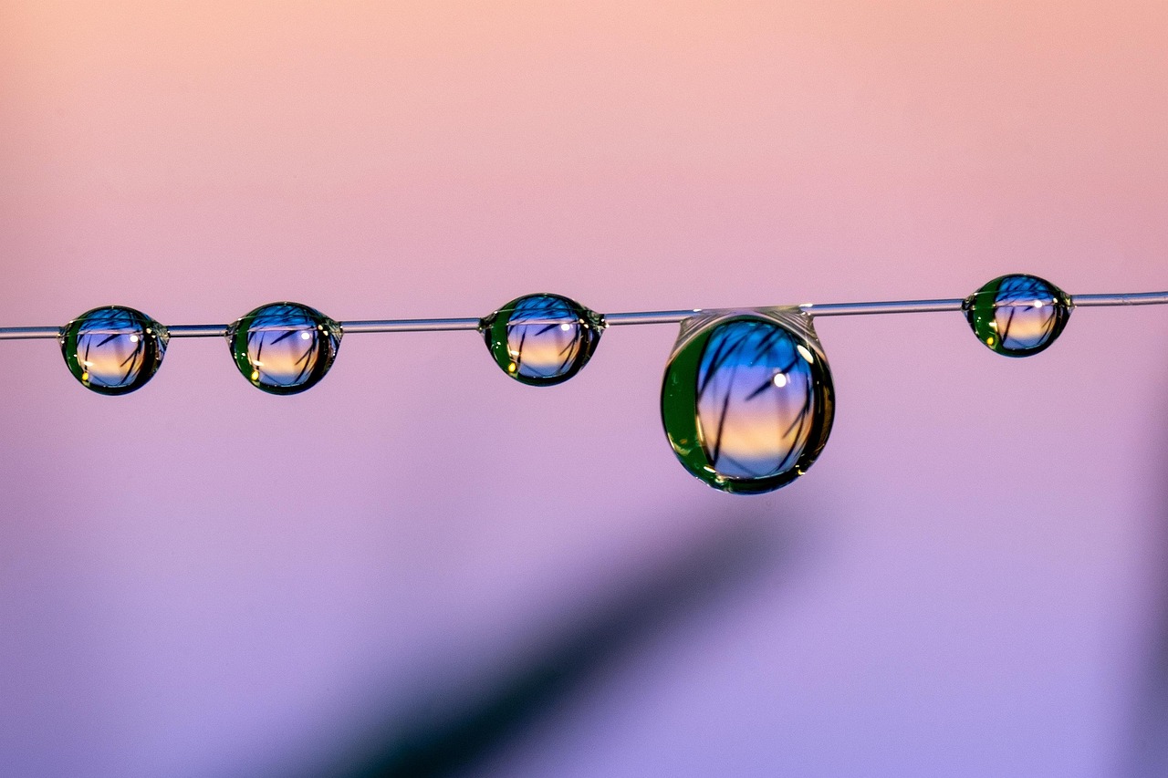 暗魔领主：各大购买平台