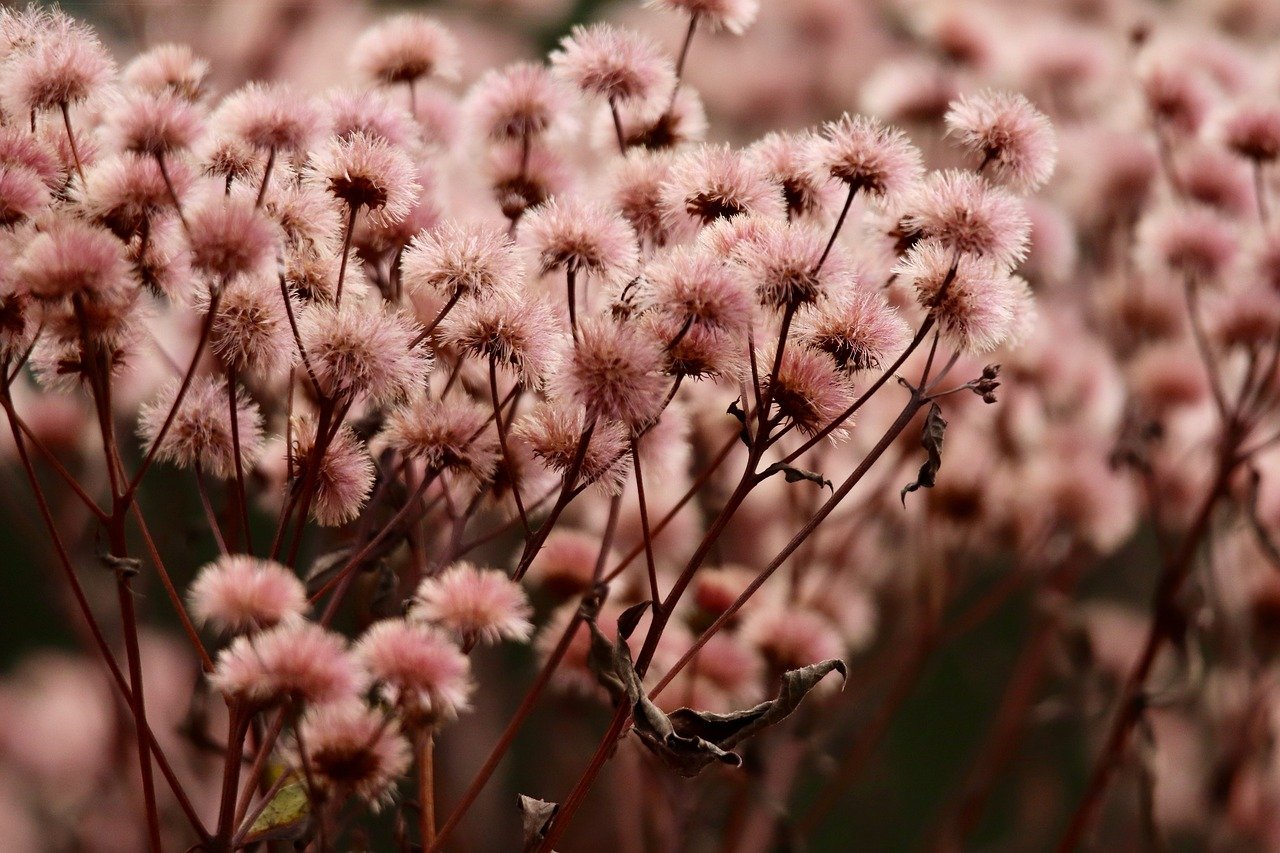 炸房器|梦幻西游账号注册太难