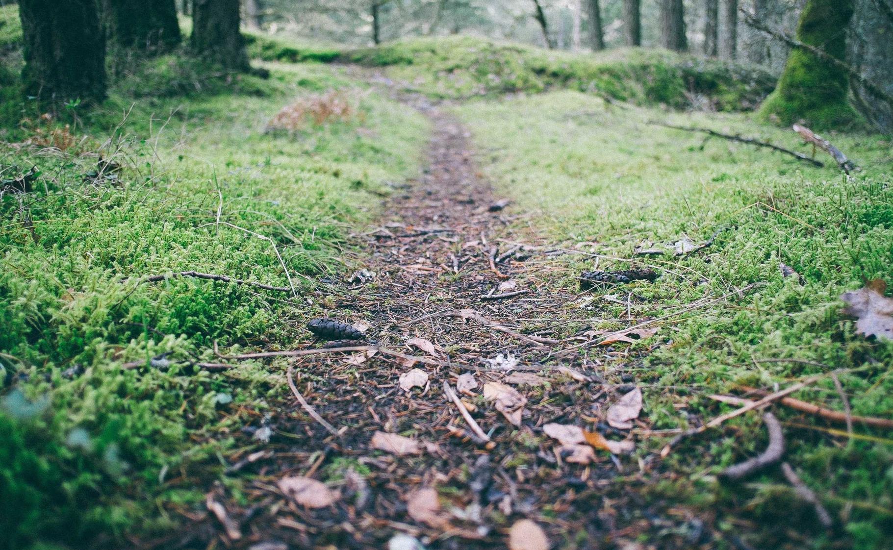 微信新号买卖:正规注册代理记账