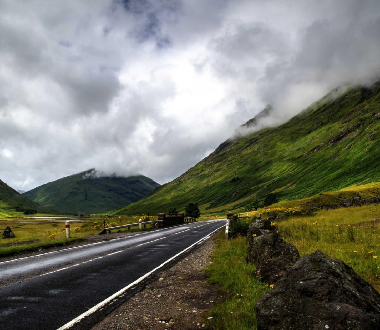 网易手机卡实名账号:拉萨茶叶购买平台