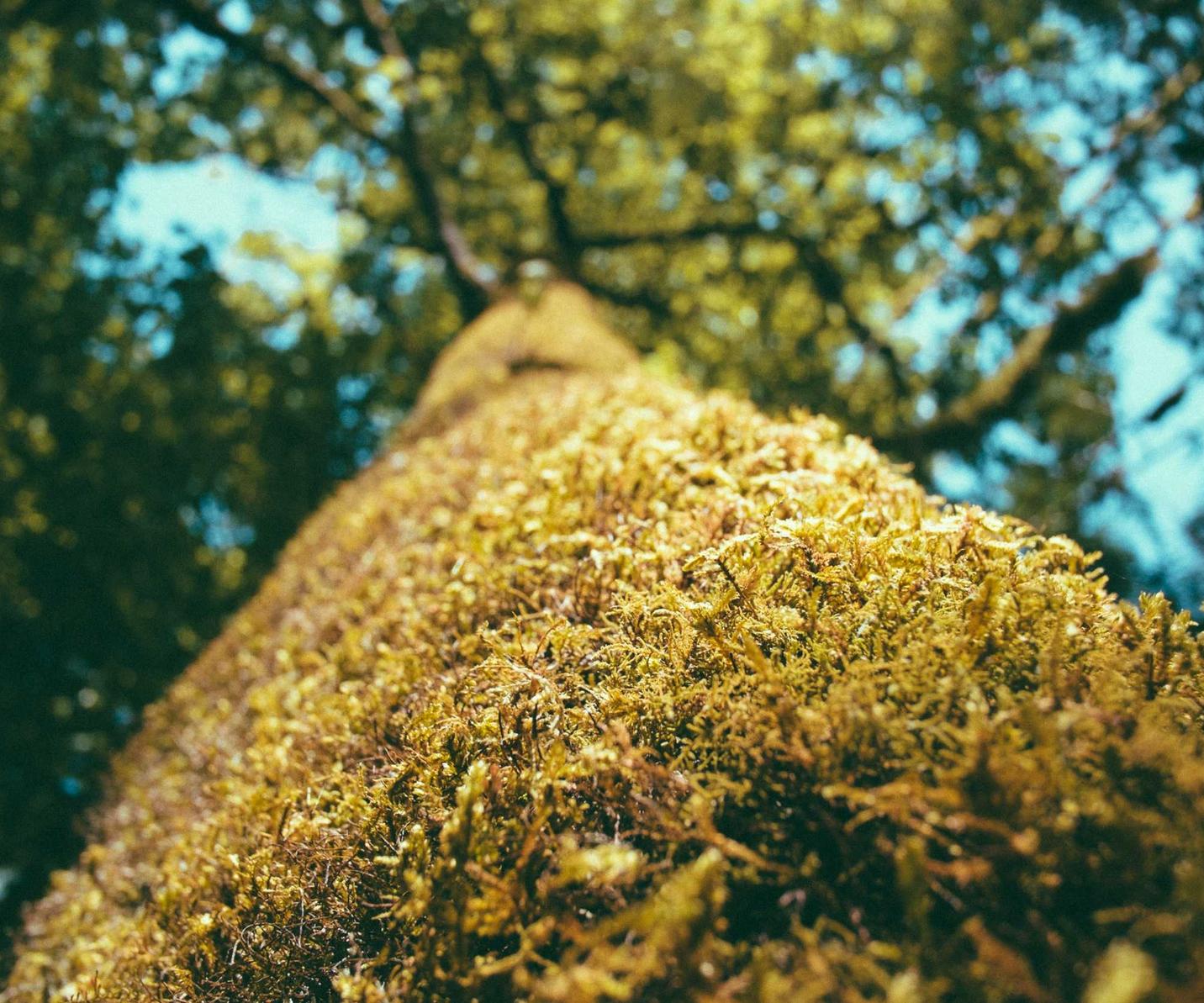 香烟产销量排名大比拼