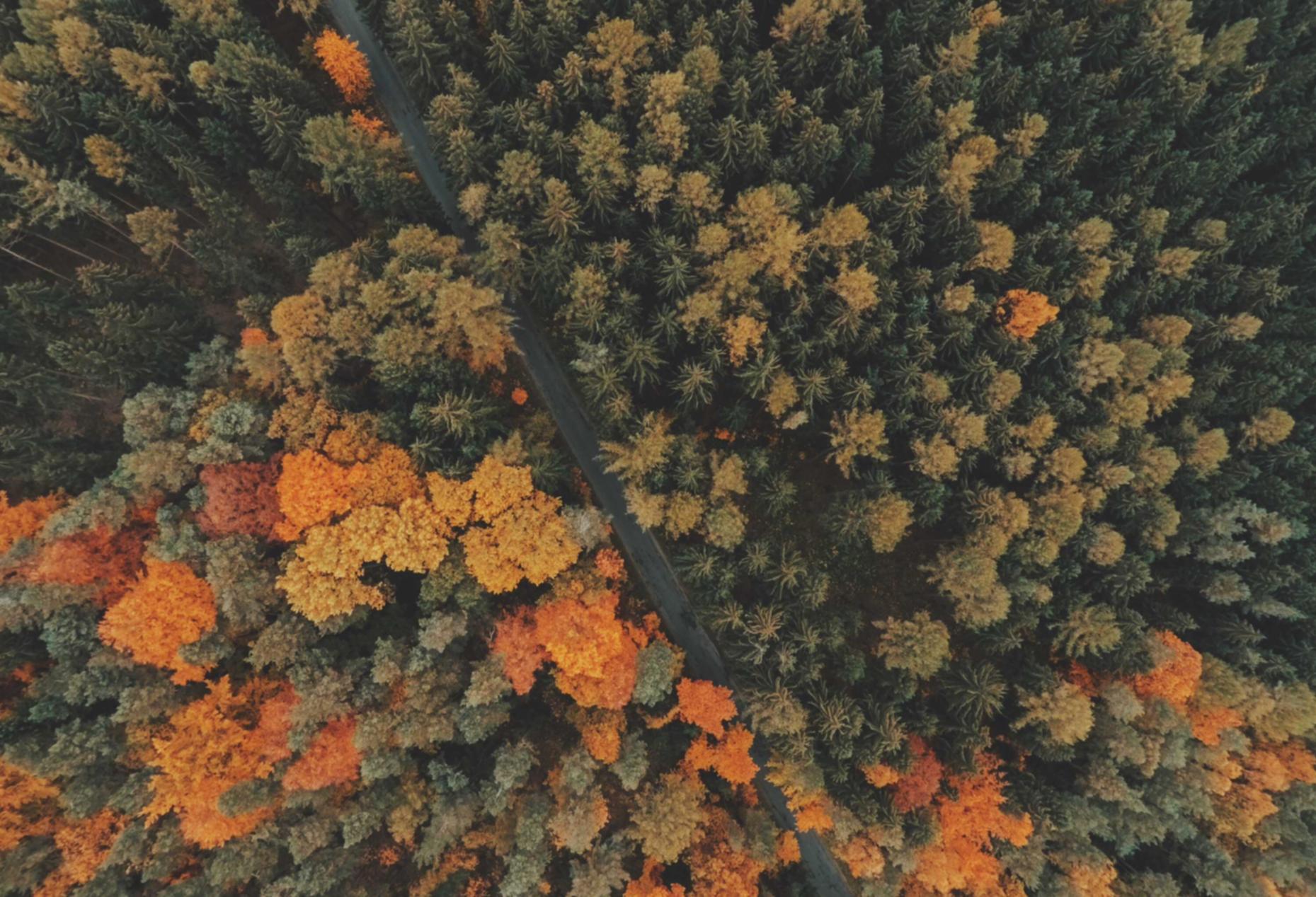 国外微信买卖:实名账号与身份认证