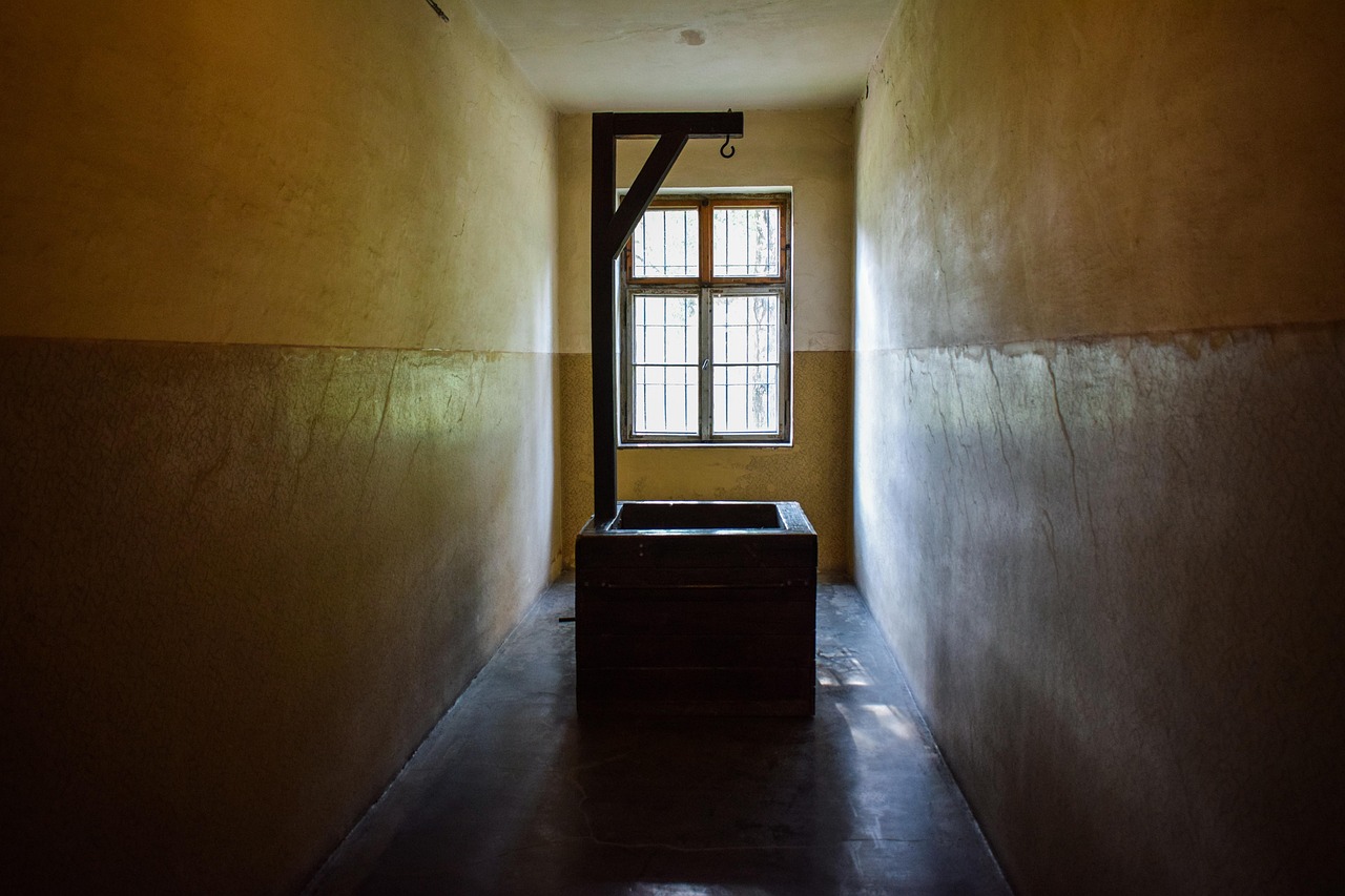 豪利时草莓爆珠：大券商开户平台