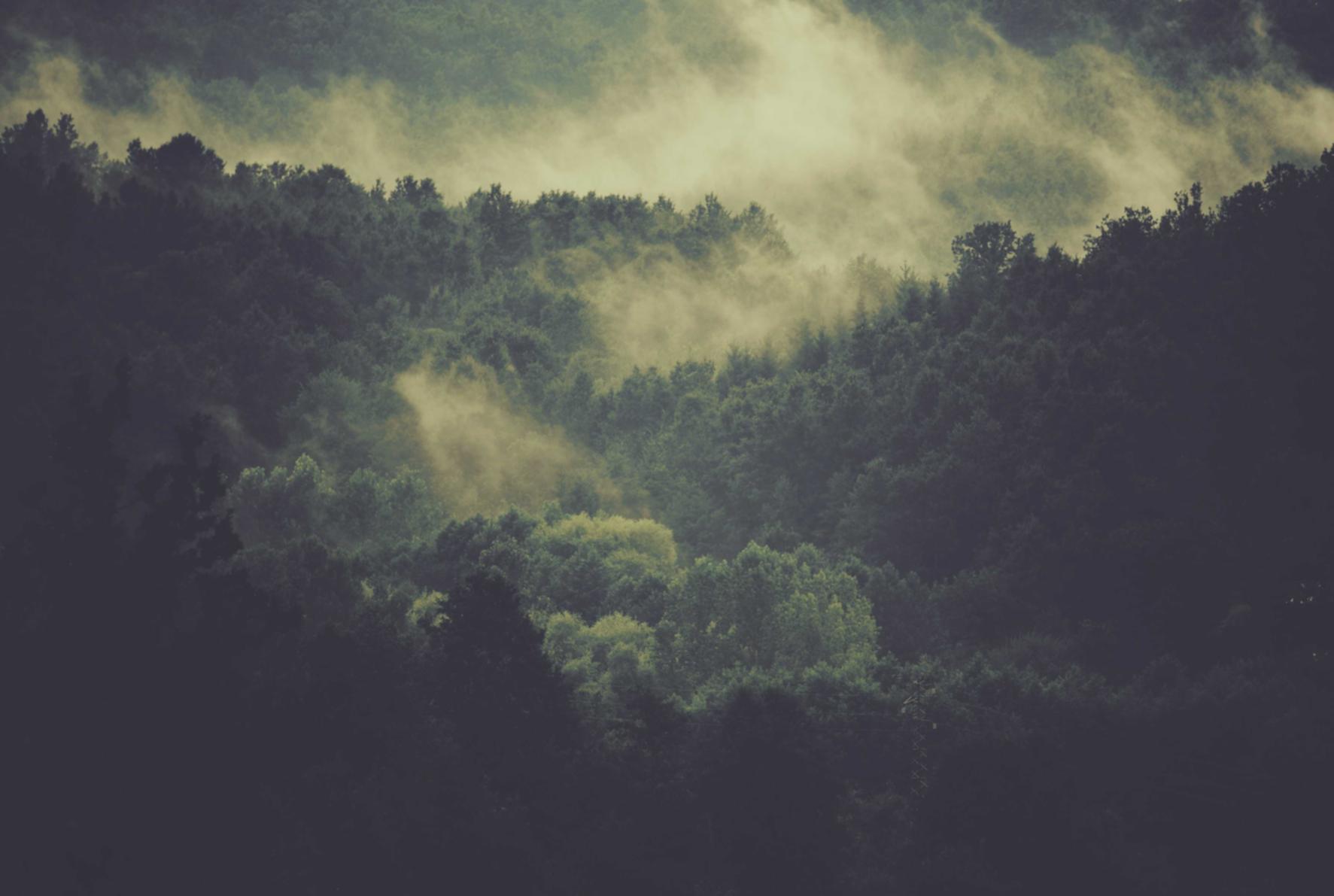 WX老号发卡网：汇联易app官方详情下载教程