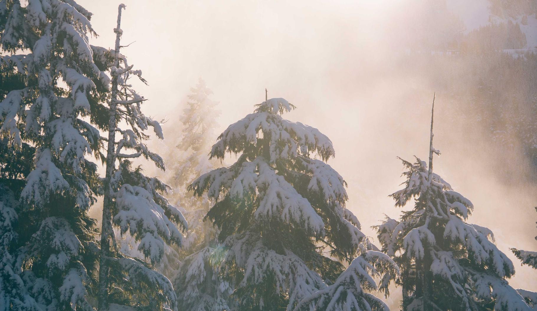 苏宁互联实名账号：昆明公积金开户平台